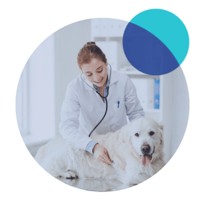 Animal Healthcare