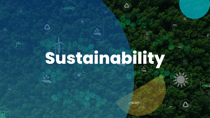 Sustainability Innovation Consulting
