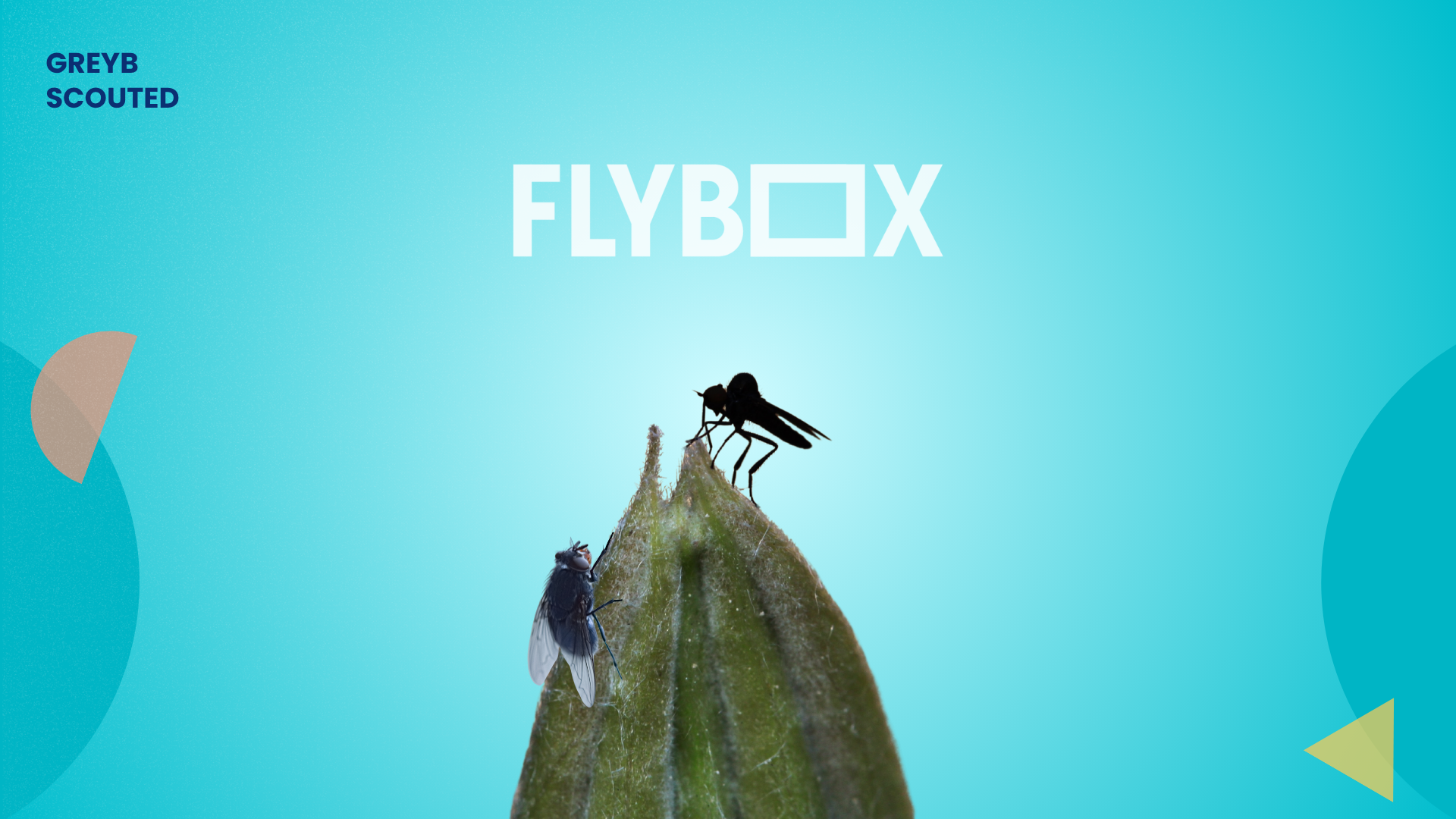 This Startup is Making Protein from Food Waste And Insects